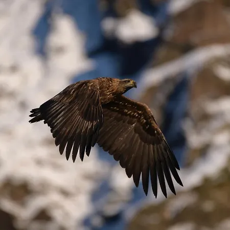 펜션 Superior Panorama House 레이네