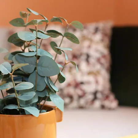 펜션 Superior Panorama House *