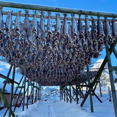 펜션 Superior Panorama House 레이네